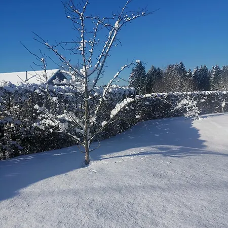 Mevazaraguesthouse * Malmedy